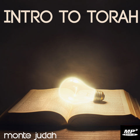 Intro to Torah Part 4  (Digital Download MP3)