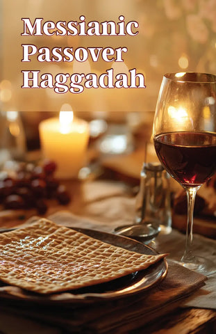 Passover Haggadah 9th Edition