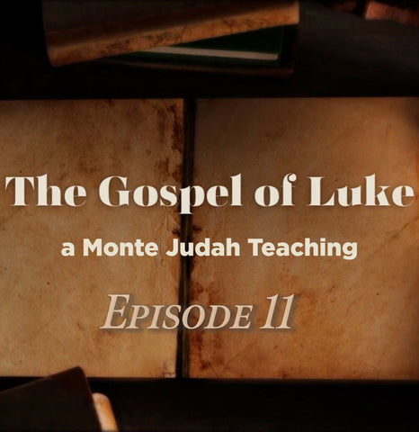 Gospel of Luke MP4 episode #11