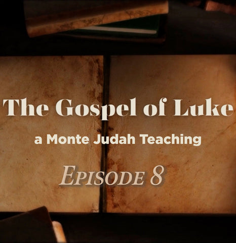 Gospel of Luke MP4 expisode #8