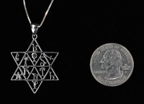 12 Tribes Star of David Necklace