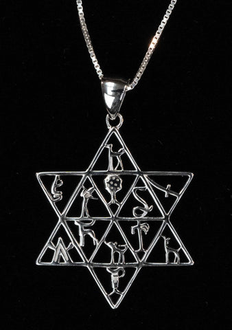 12 Tribes Star of David Necklace