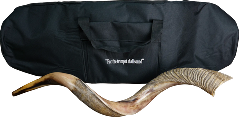 Jumbo Yemenite Shofar with a Free Bag