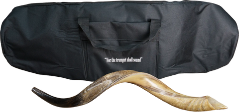 Medium Yemenite Shofar with a Free Bag