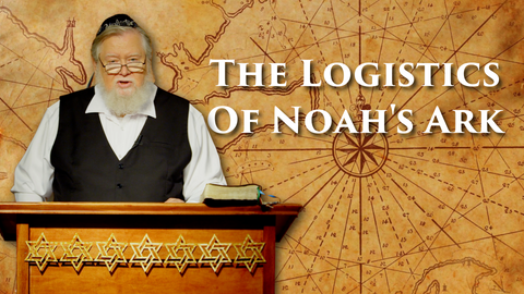 The Logistics of Noah's Ark 3 Episodes MP4