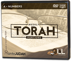 Weekly Torah Portions - Widescreen-DVD - 4 Numbers