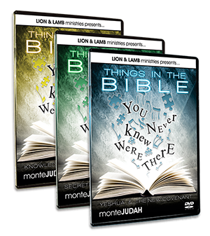 Things in the Bible You Never Knew were There - Volumes 1-3