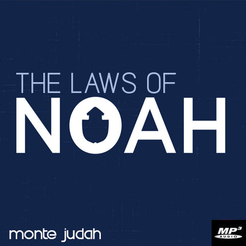 The Laws of Noah  (Digital Download MP3)