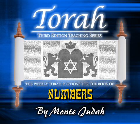 Torah Portions Book of Numbers "Digital Download"