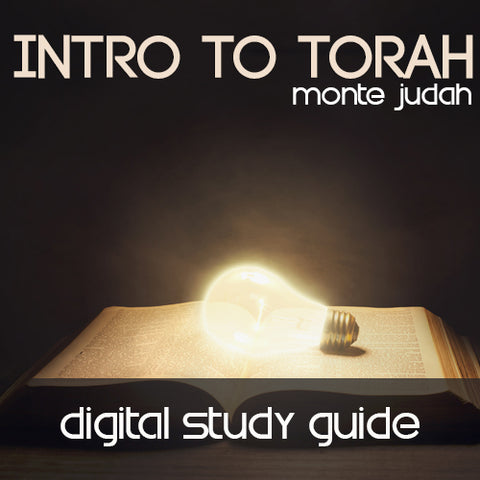 Intro to Torah Digital Study Guide  (Digital Download PDF)