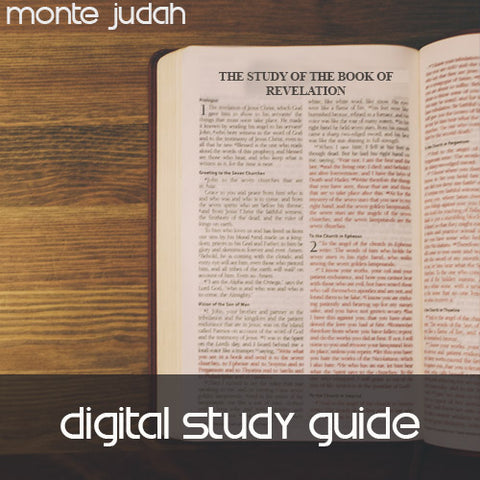 The Study of the Book of Revelation Study Guide Only  (Digital Download PDF)